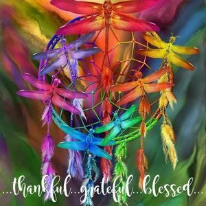 Meet your Posher, Shelly